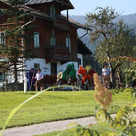 Gaestehaus Hoegerhof Hopfgarten im Brixental Exteriör bild