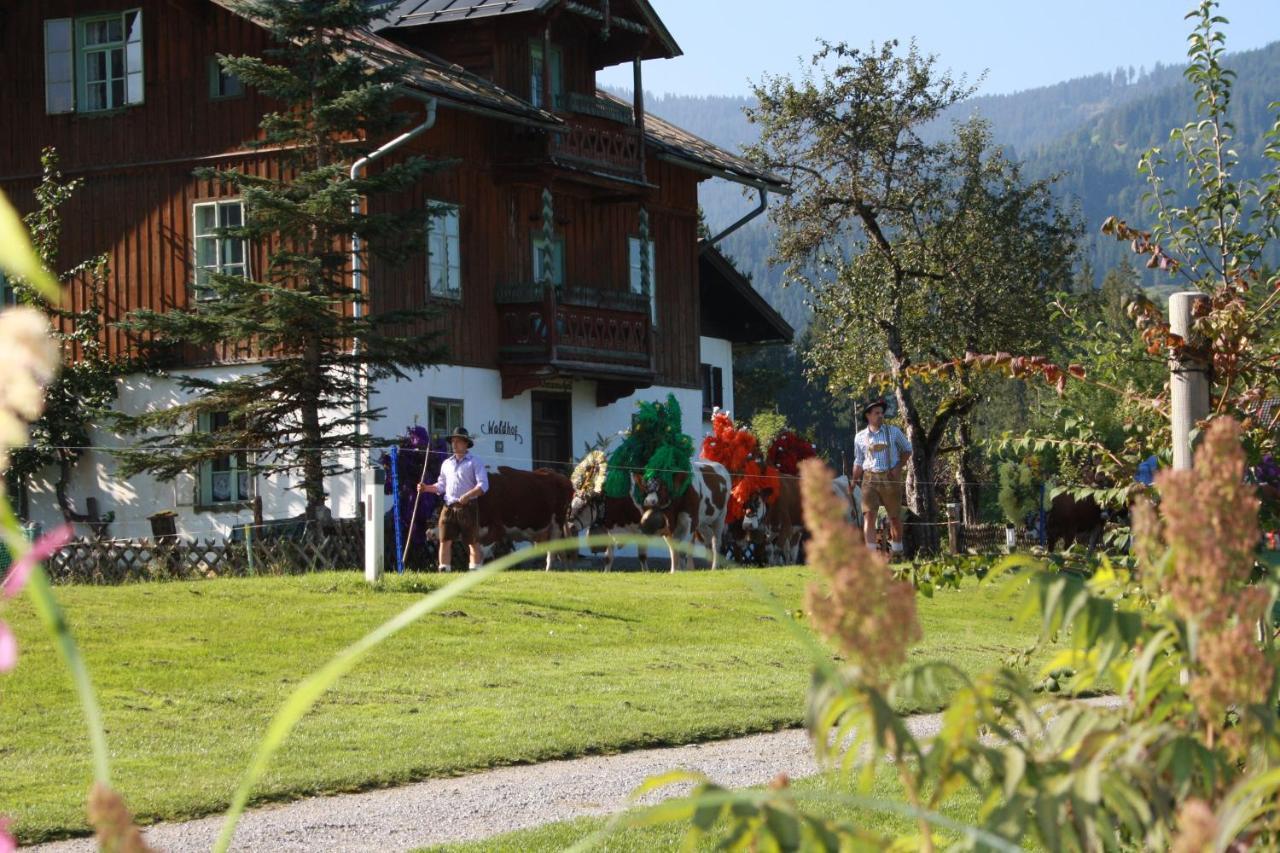 Gaestehaus Hoegerhof Hopfgarten im Brixental Exteriör bild